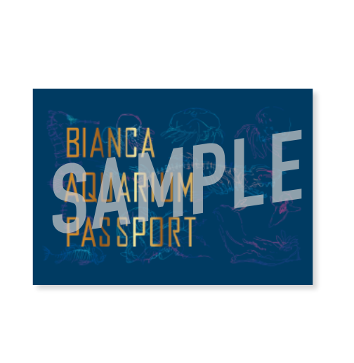 謎付きマルチエンディングパスポート