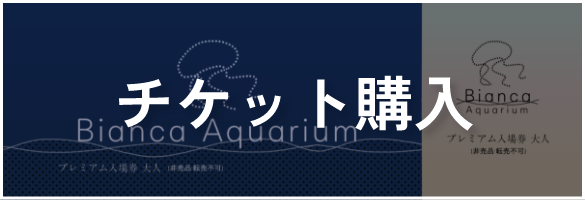 チケット購入